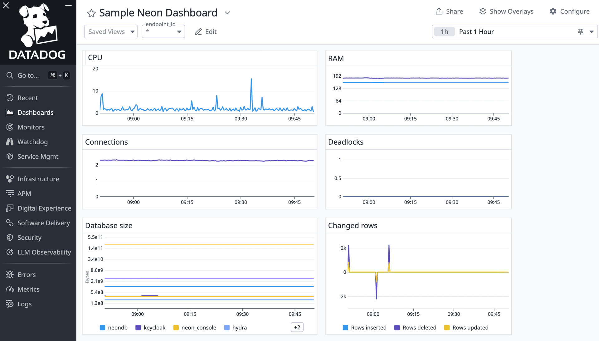 neon dashboard in datadog